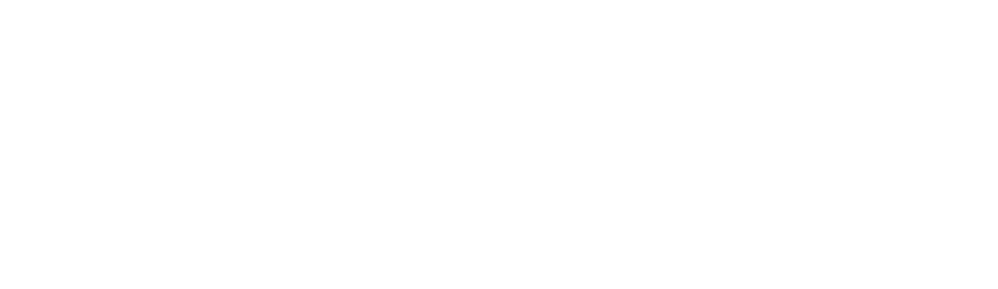 new-logo-v2-espa__ol-blanco