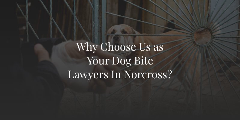 Norcross dog bite lawyer