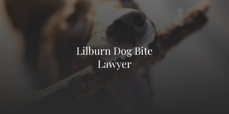 Lilburn Dog Bite Lawyer