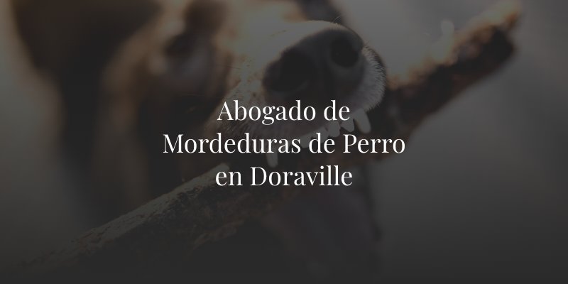 Abogado de Mordeduras de Perro en Doraville