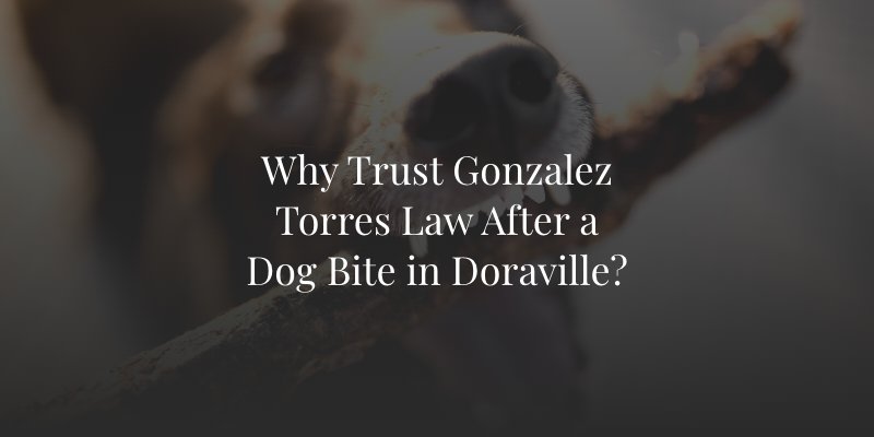 Doraville dog bite lawyer