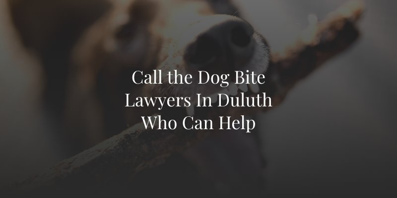 Duluth dog bite lawyers